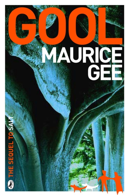 E-book Gool Maurice Gee