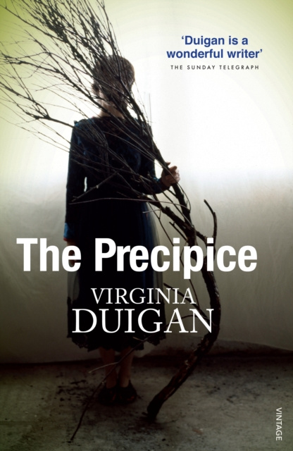 E-book Precipice Virginia Duigan