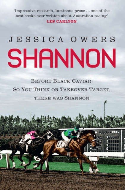 E-kniha Shannon Jessica Owers