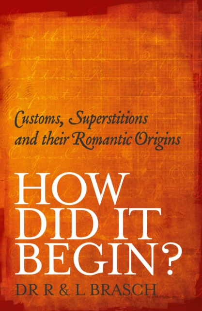 E-knjiga How Did It Begin R Brasch