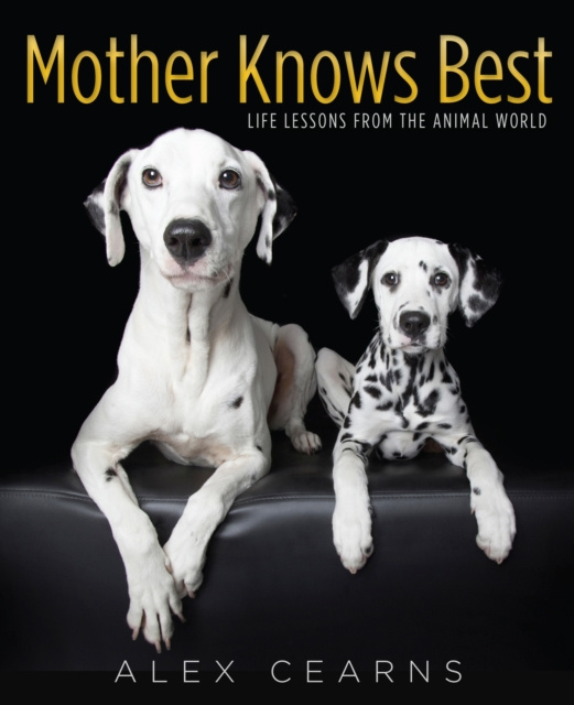 E-knjiga Mother Knows Best Alex Cearns