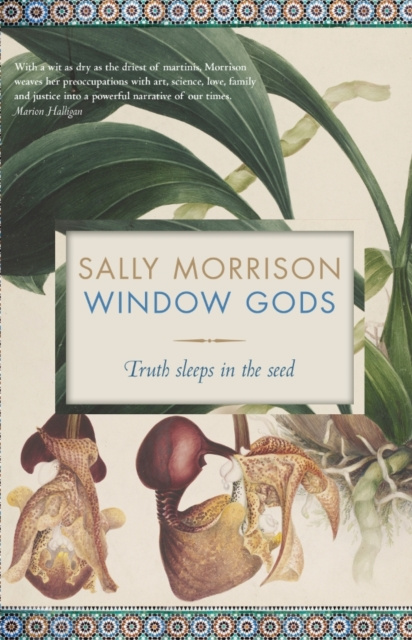E-knjiga Window Gods Sally Morrison