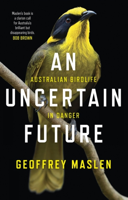 E-knjiga Uncertain Future Geoffrey Maslen