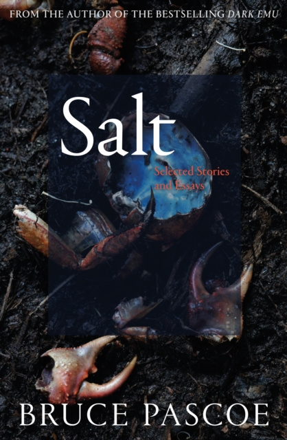 E-book Salt Bruce Pascoe