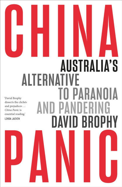 E-book China Panic David Brophy