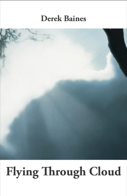 E-knjiga Flying Through Cloud Derek Baines