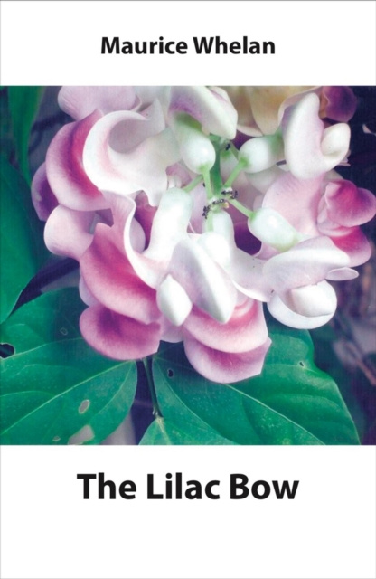 E-book Lilac Bow Maurice Whelan