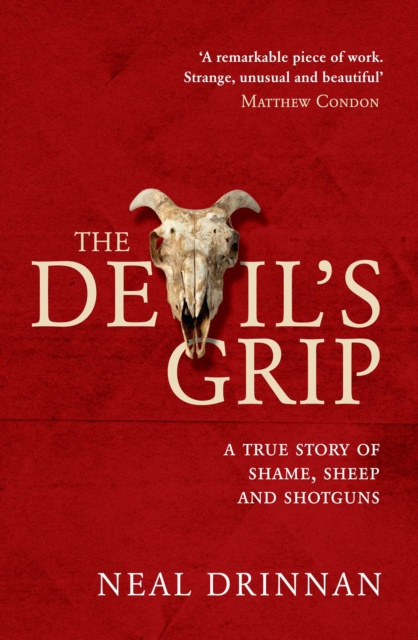 E-knjiga Devil's Grip Neal Drinnan