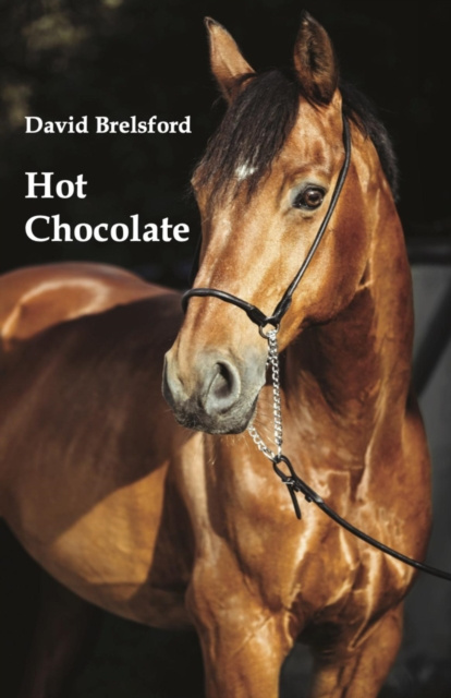 E-knjiga Hot Chocolate David Brelsford
