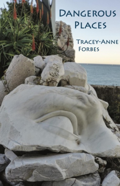 E-knjiga Dangerous Places Tracey-Anne Forbes