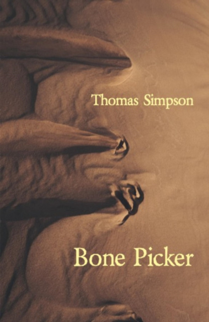 E-knjiga Bone Picker Thomas Simpson