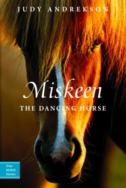 E-book Miskeen Judy Andrekson