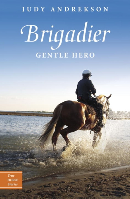 E-book Brigadier Judy Andrekson