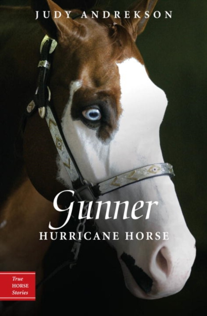E-book Gunner Judy Andrekson