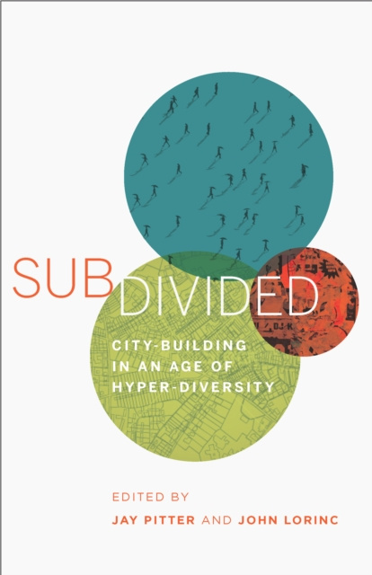 E-knjiga Subdivided Jay Pitter