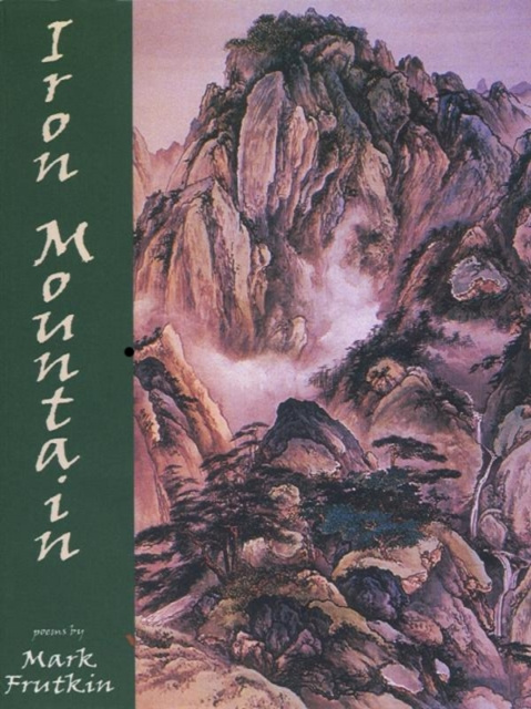 E-knjiga Iron Mountain Mark Frutkin