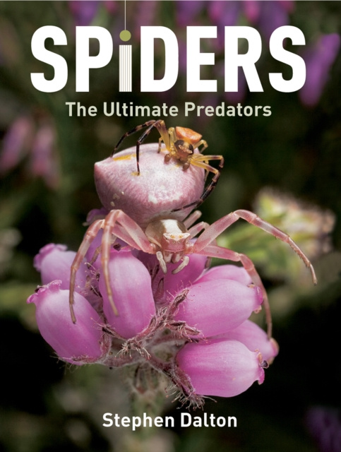 E-knjiga Spiders Stephen Dalton