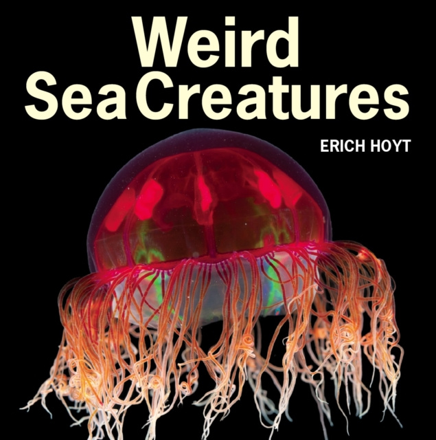E-book Weird Sea Creatures Erich Hoyt