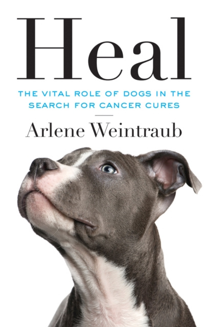 E-knjiga Heal Arlene Weintraub
