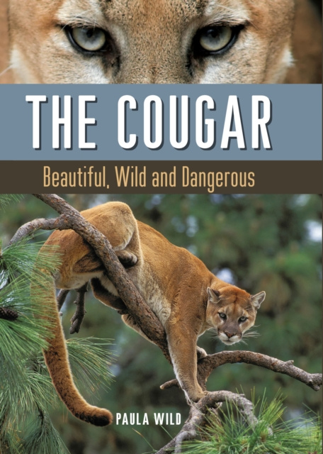E-book Cougar Paula Wild