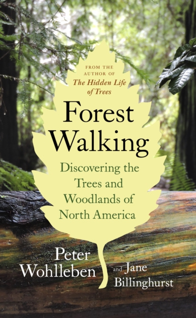 E-Book Forest Walking Peter Wohlleben
