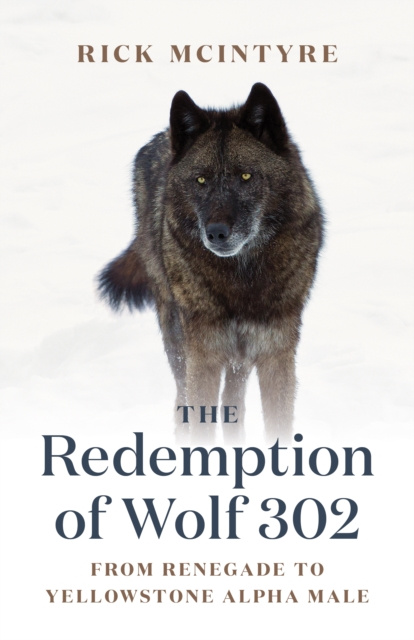 E-kniha Redemption of Wolf 302 Rick McIntyre