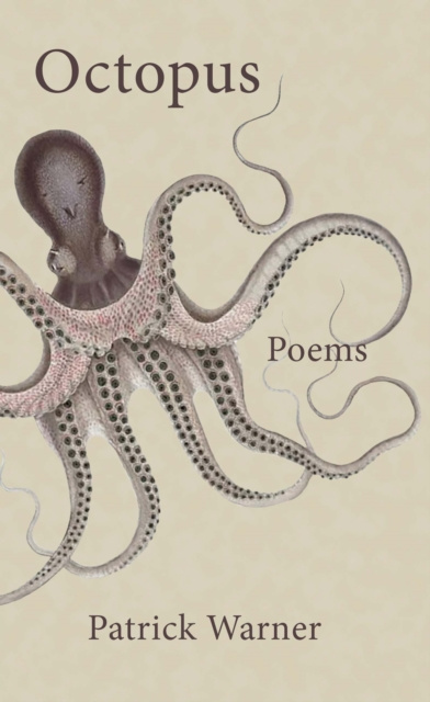 E-book Octopus Patrick Warner