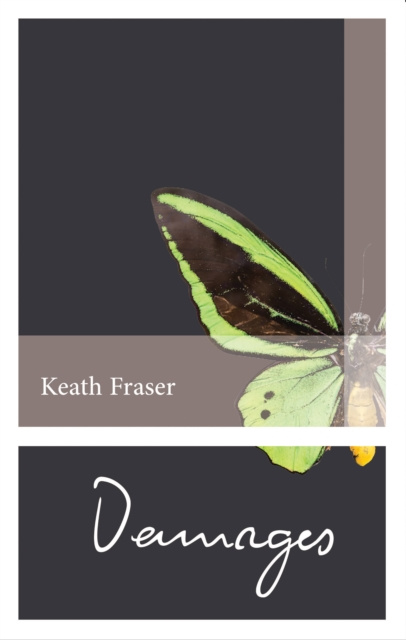 E-book Damages Keath Fraser