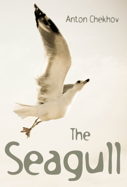 E-knjiga Seagull Anton Chekhov
