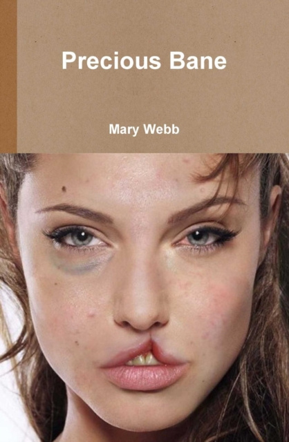 E-book Precious Bane Mary Webb
