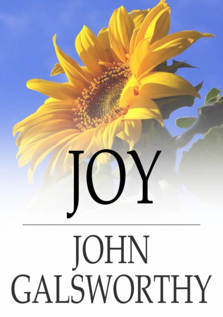 E-knjiga Joy John Galsworthy