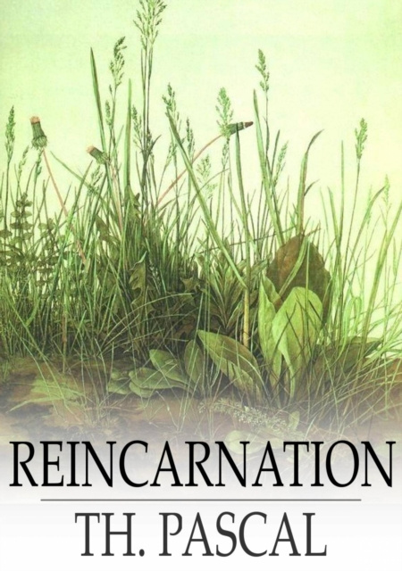 E-book Reincarnation Theodore Pascal