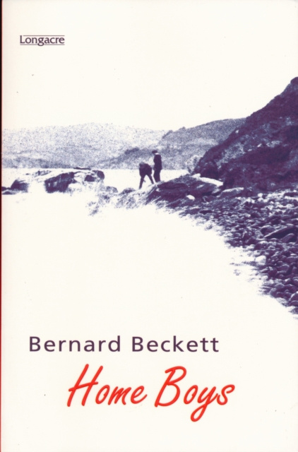 ebook Home Boys Bernard Beckett