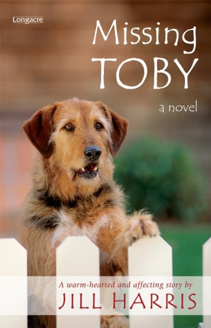 E-knjiga Missing Toby Jill Harris