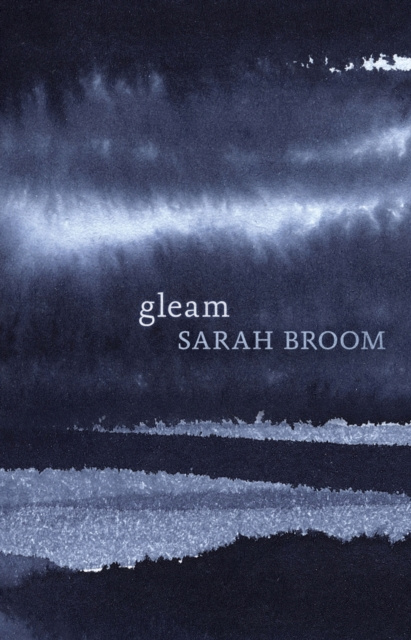 E-knjiga Gleam Sarah Broom