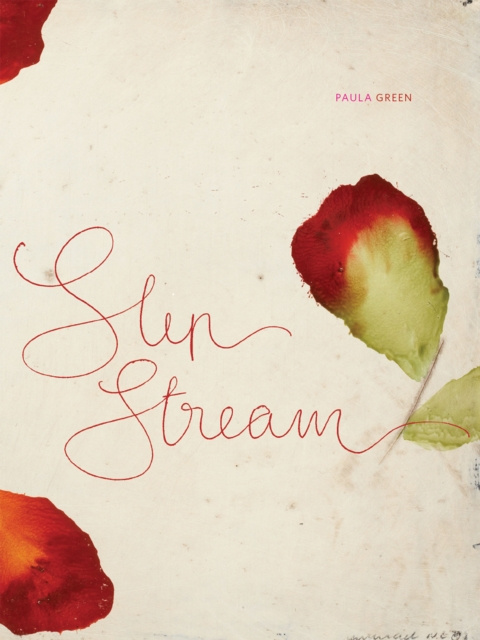 E-book Slip Stream Paula Green