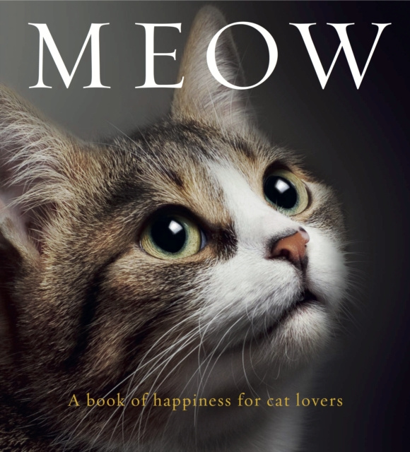 E-book Meow Anouska Jones
