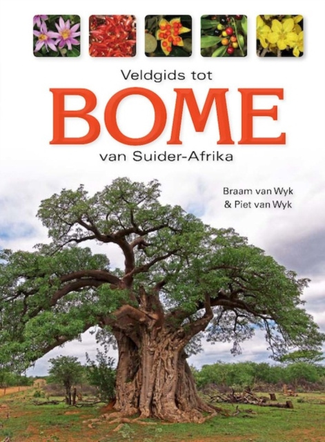 E-kniha Veldgids tot Bome van Suider-Afrika Braam van Wyk