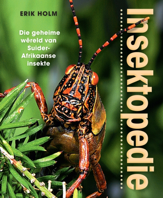 E-kniha Insektopedie - Die geheime wereld van Suider-Afrikaanse insekte Erik Holm