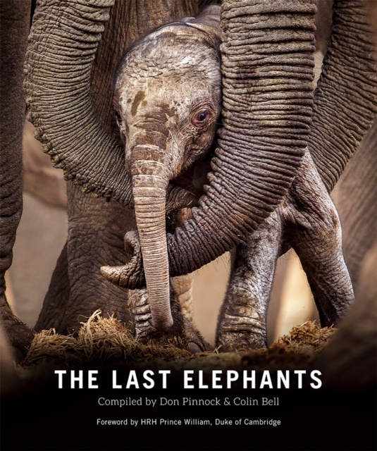 E-book Last Elephants Colin Bell