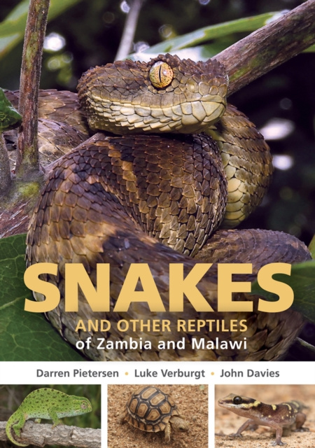 E-kniha Snakes and other Reptiles of Zambia and Malawi Darren Pietersen