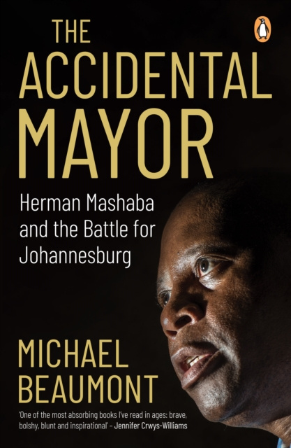 E-knjiga Accidental Mayor Michael Beaumont