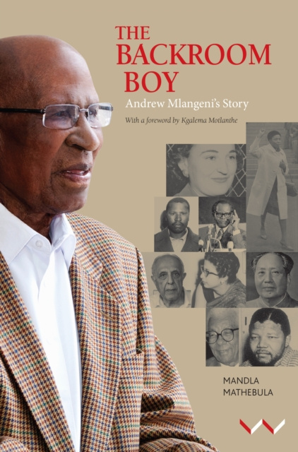 E-book Backroom Boy Mandla Mathebula