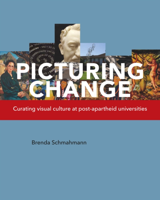 E-knjiga Picturing Change Brenda Schmahmann
