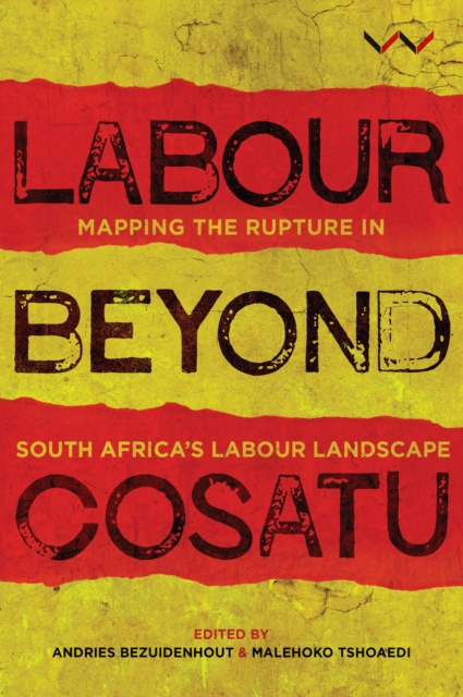 E-book Labour Beyond Cosatu Andries Bezuidenhout