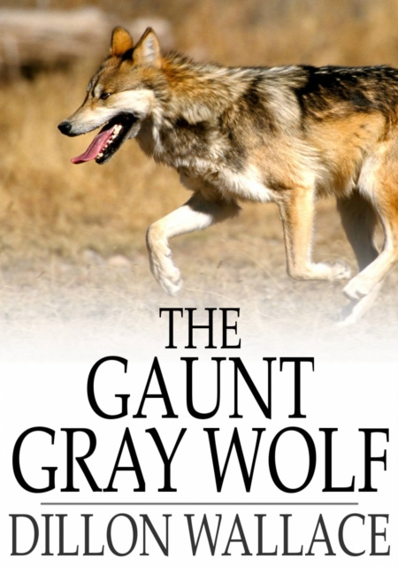 E-knjiga Gaunt Gray Wolf Dillon Wallace