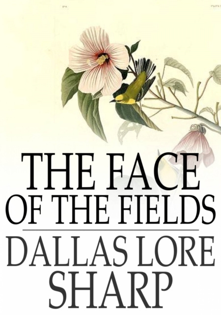 E-knjiga Face of the Fields Dallas Lore Sharp