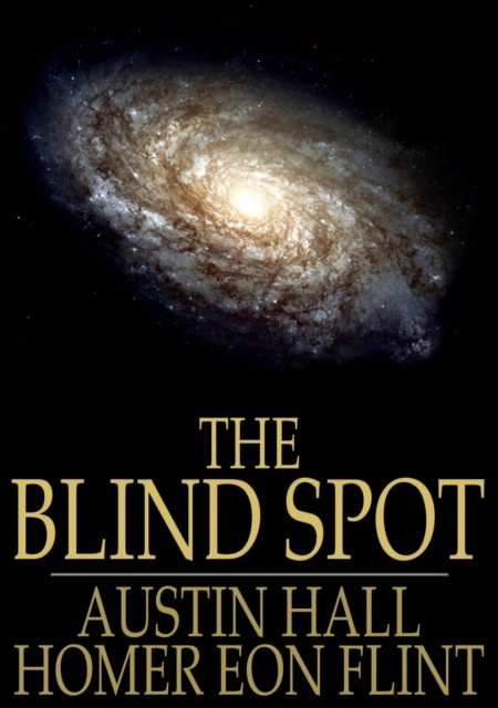 E-knjiga Blind Spot Austin Hall