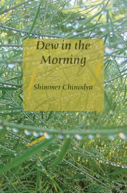 E-kniha Dew in the Morning Shimmer Chinodya