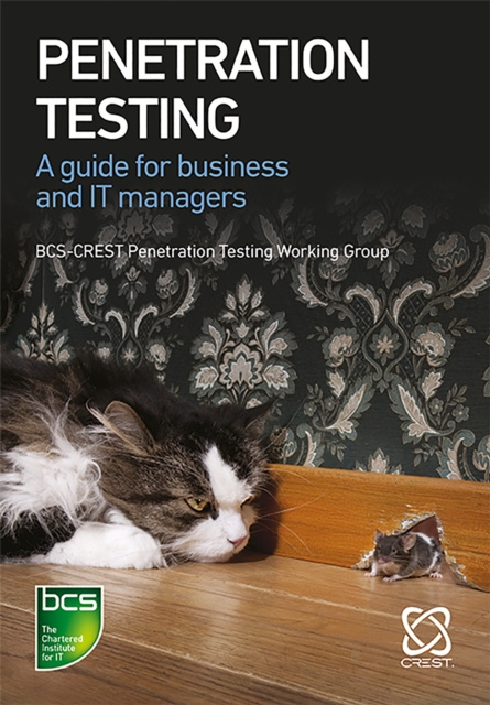 E-book Penetration Testing James Hayes